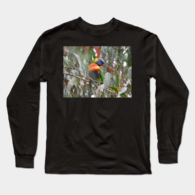 Rainbow Lorikeet in Norton Summit Long Sleeve T-Shirt by claire-l-page